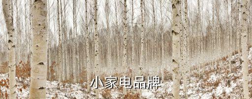 小家電品牌