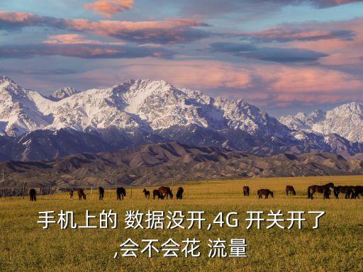 手機上的 數(shù)據(jù)沒開,4G 開關(guān)開了,會不會花 流量