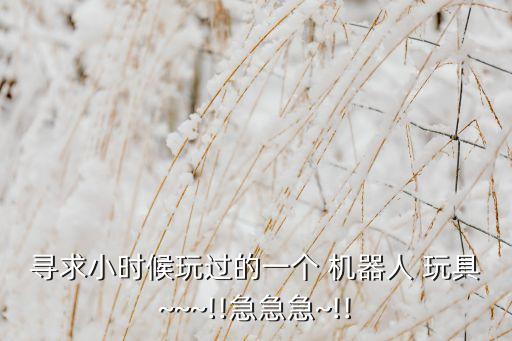 尋求小時(shí)候玩過的一個(gè) 機(jī)器人 玩具~~~!!急急急~!!