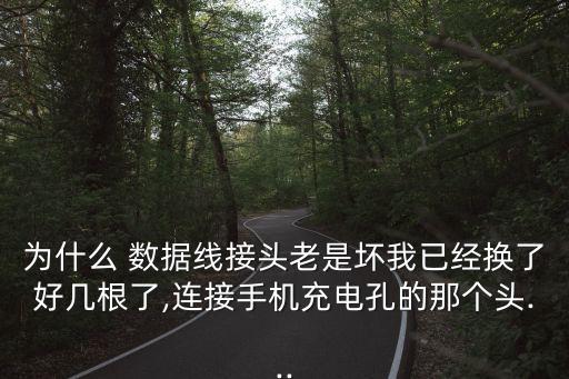 數(shù)據(jù)線小卡鉤