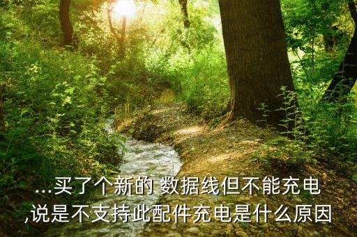 ...買了個新的 數(shù)據(jù)線但不能充電,說是不支持此配件充電是什么原因
