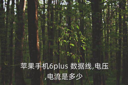  蘋果手機6plus 數據線,電壓,電流是多少