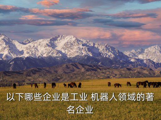 比利時機器人公司都有哪些