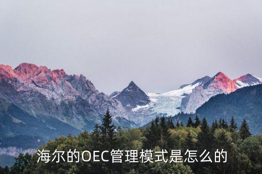 什么是海爾大數(shù)據(jù)分析,海爾銷售數(shù)據(jù)分析