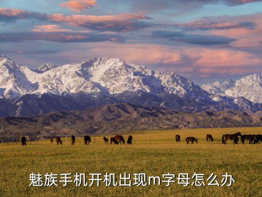  魅族手機(jī)開機(jī)出現(xiàn)m字母怎么辦