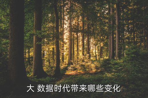 大 數(shù)據(jù)時代帶來哪些變化