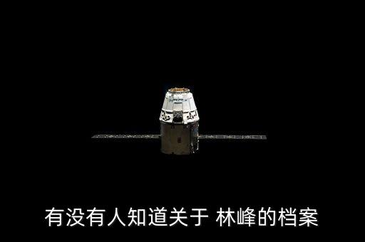 有沒有人知道關(guān)于 林峰的檔案