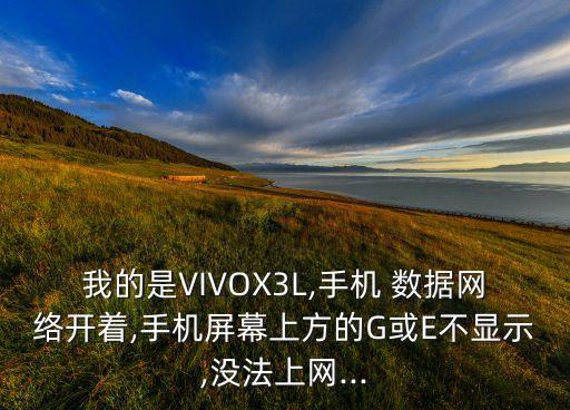 數(shù)據(jù)打開 沒有e的圖標,移動數(shù)據(jù)打開怎么不顯示圖標