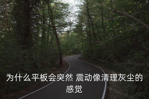 手機(jī)殼為什么自動震動,為什么手機(jī)會每天在一個時間點(diǎn)自動震動