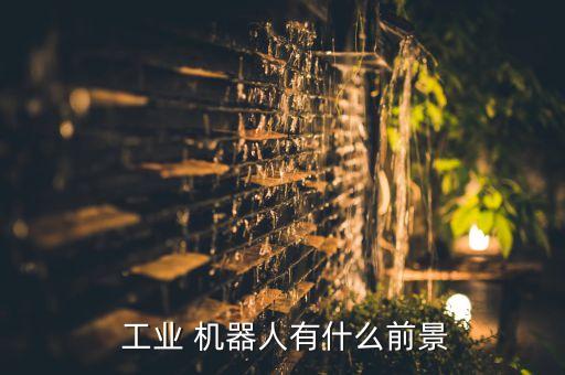 機(jī)器人工業(yè)的發(fā)展方向,軟體機(jī)器人未來發(fā)展方向