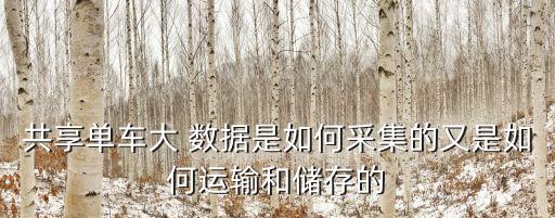 怎么收集大數(shù)據(jù),fsqca的數(shù)據(jù)怎么收集