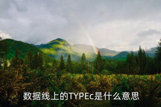  數(shù)據(jù)線上的TYPEc是什么意思