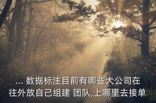 ... 數(shù)據(jù)標(biāo)注目前有哪些大公司在往外放自己組建 團(tuán)隊(duì),上哪里去接單