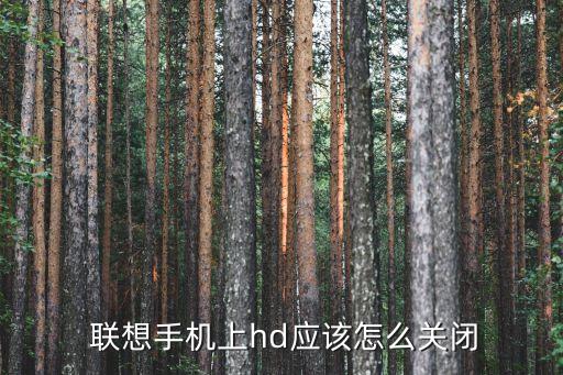 聯(lián)想p90數(shù)據(jù)怎么關(guān)