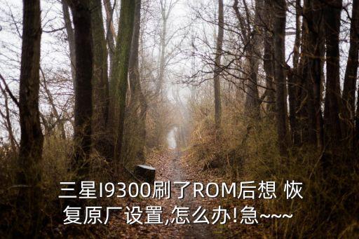 三星手機(jī)刷機(jī)后怎么恢復(fù)數(shù)據(jù),最新三星手機(jī)怎么刷機(jī)