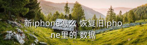 新iphone怎么 恢復(fù)舊iphone里的 數(shù)據(jù)