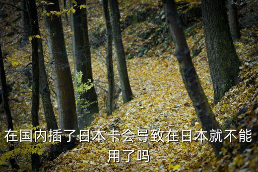 在國(guó)內(nèi)插了日本卡會(huì)導(dǎo)致在日本就不能用了嗎