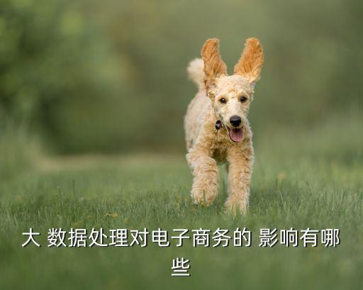 大 數(shù)據(jù)處理對電子商務(wù)的 影響有哪些
