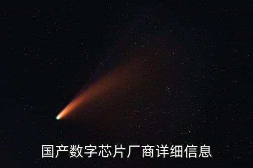 國產(chǎn)數(shù)字芯片廠商詳細(xì)信息
