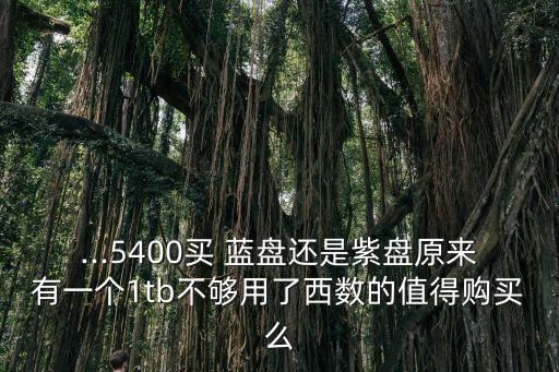 ...5400買 藍(lán)盤還是紫盤原來有一個(gè)1tb不夠用了西數(shù)的值得購(gòu)買么