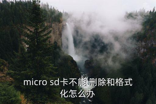 micro sd卡不能 刪除和格式化怎么辦