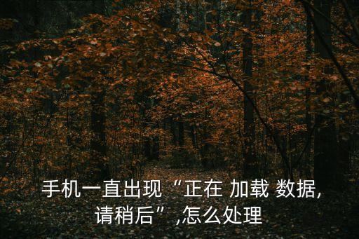 手機網(wǎng)站數(shù)據(jù)加載,vivo手機數(shù)據(jù)加載中