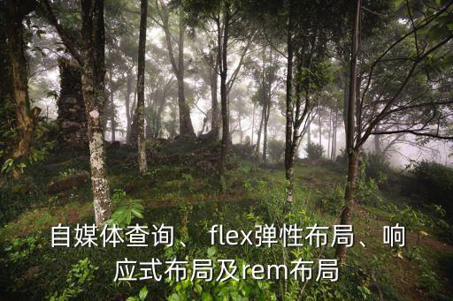 自媒體查詢(xún)、 flex彈性布局、響應(yīng)式布局及rem布局