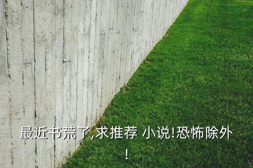 最近書荒了,求推薦 小說!恐怖除外!