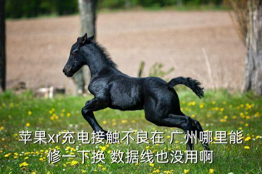 蘋果xr充電接觸不良在 廣州哪里能修一下?lián)Q 數(shù)據(jù)線也沒用啊