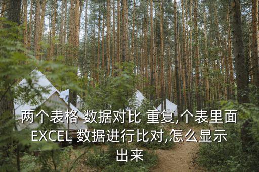 兩個表格 數(shù)據(jù)對比 重復(fù),個表里面EXCEL 數(shù)據(jù)進(jìn)行比對,怎么顯示出來
