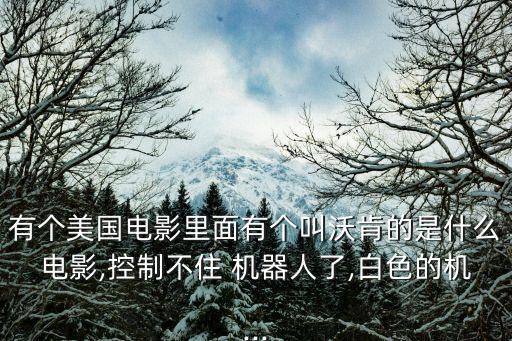 美國(guó)片有部講機(jī)器人的