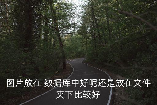 圖片放在 數(shù)據(jù)庫(kù)中好呢還是放在文件夾下比較好