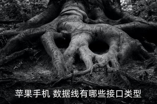 iphone5數(shù)據(jù)線3d模型