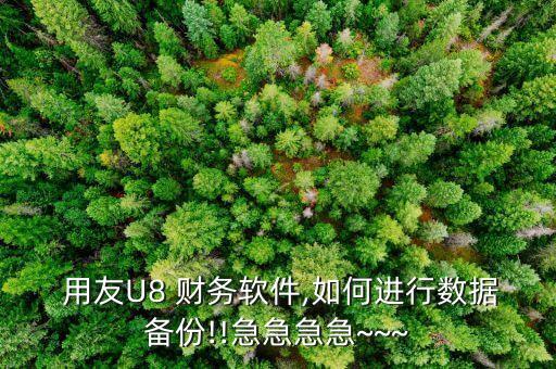  用友U8 財務(wù)軟件,如何進(jìn)行數(shù)據(jù)備份!!急急急急~~~