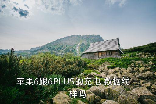蘋果6跟6PLUS的充電 數(shù)據(jù)線一樣嗎