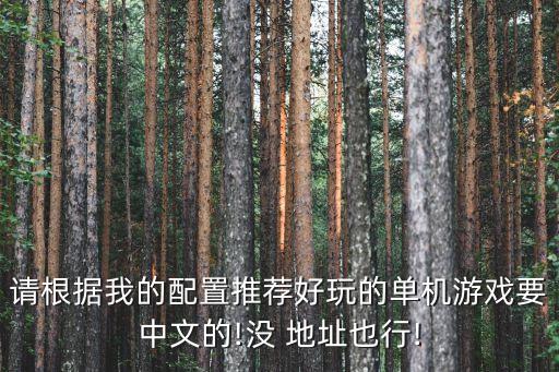 請根據(jù)我的配置推薦好玩的單機游戲要中文的!沒 地址也行!