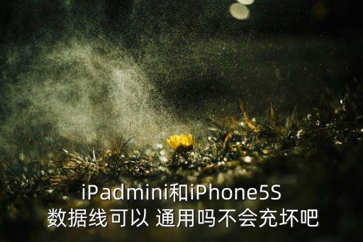 iPadmini和iPhone5S 數(shù)據(jù)線可以 通用嗎不會充壞吧