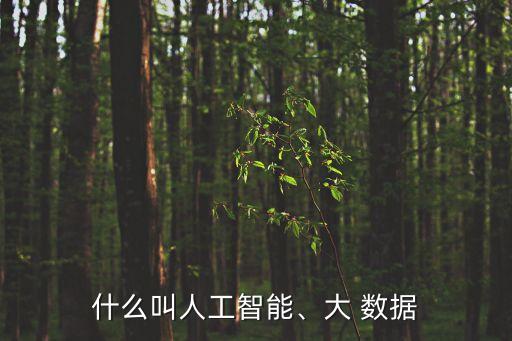 什么叫人工智能、大 數(shù)據(jù)