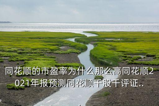 同花順的市盈率為什么那么高同花順2021年報(bào)預(yù)測(cè)同花順千股千評(píng)證...