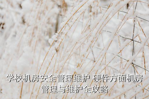 學(xué)校機(jī)房安全管理維護(hù) 硬件方面機(jī)房管理與維護(hù)全攻略