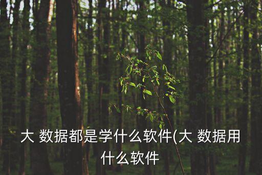 linux 用藍(lán)牙大數(shù)據(jù)
