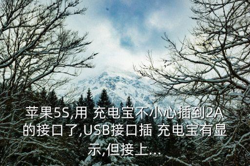 蘋果5S,用 充電寶不小心插到2A的接口了,USB接口插 充電寶有顯示,但接上...