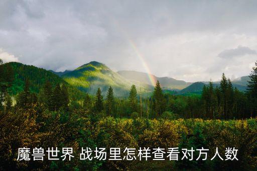 戰(zhàn)場(chǎng)數(shù)據(jù)