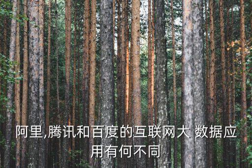 阿里巴巴 大數(shù)據(jù) 最新動(dòng)向