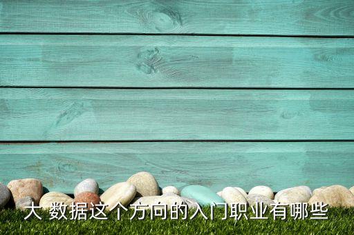 數(shù)據(jù)類工作
