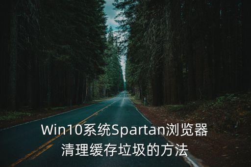Win10系統(tǒng)Spartan瀏覽器清理緩存垃圾的方法