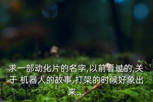 求一部動化片的名字,以前看過的,關于 機器人的故事,打架的時候好象出來...