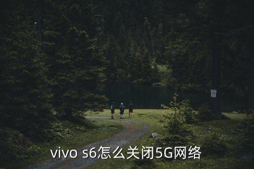 vivo s6怎么關(guān)閉5G網(wǎng)絡(luò)