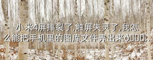 小米4拔出數(shù)據(jù)線,小米11原裝數(shù)據(jù)線是幾A