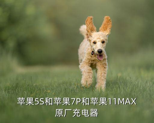 蘋果5S和蘋果7P和蘋果11MAX原廠充電器